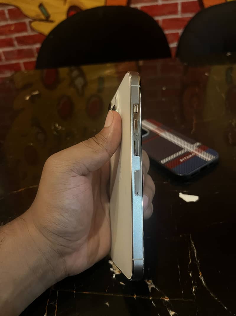 Apple iPhone 13 Pro 1