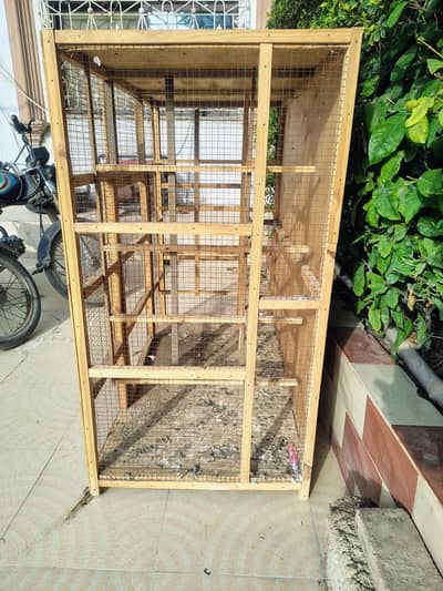 birds cage