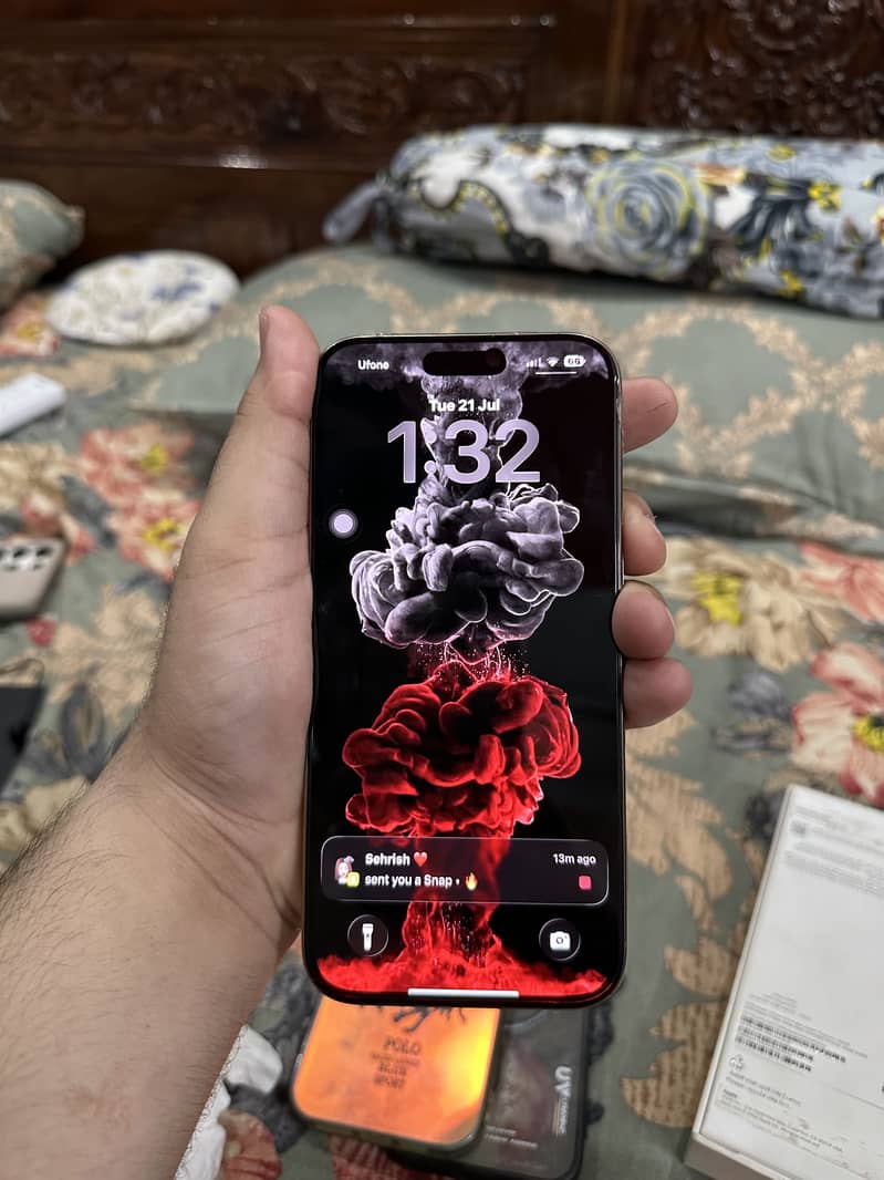 Apple iPhone 16 Pro Max 1