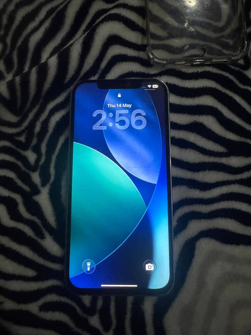 Apple iPhone 12 Pro Max 1