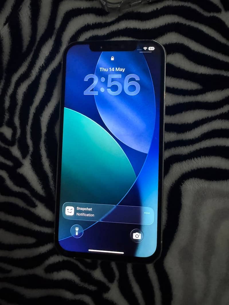 Apple iPhone 12 Pro Max 2