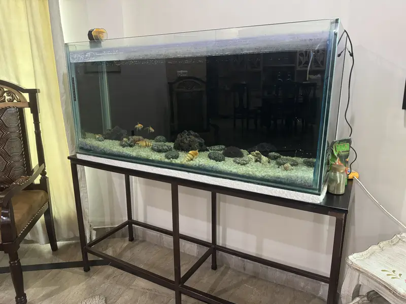 Aquarium 4.5 lft