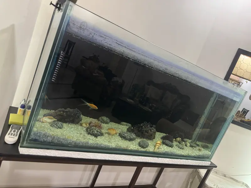 Aquarium 4.5 lft — photo 2