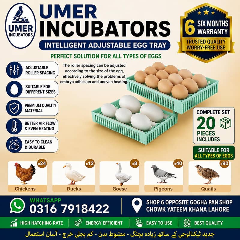 Automatic Egg Incubator | Egg Hatching Machine | Incubator | Brooder 7