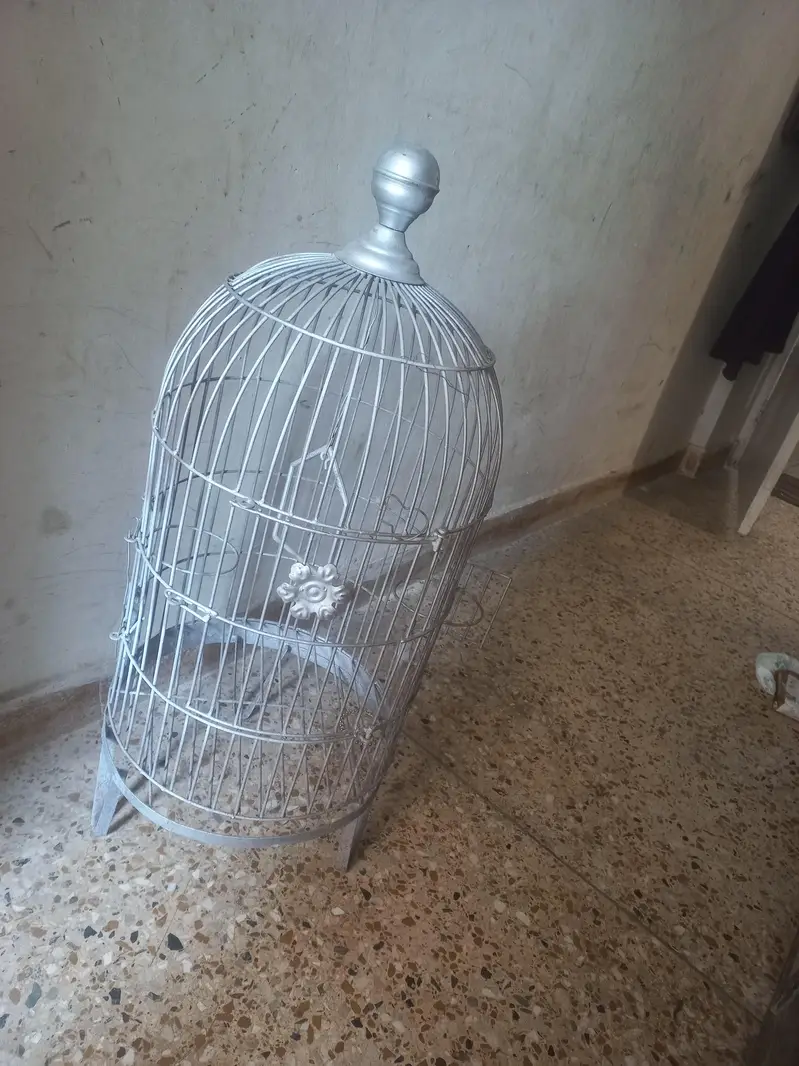 cage for parrot row grey macro etc — photo 4