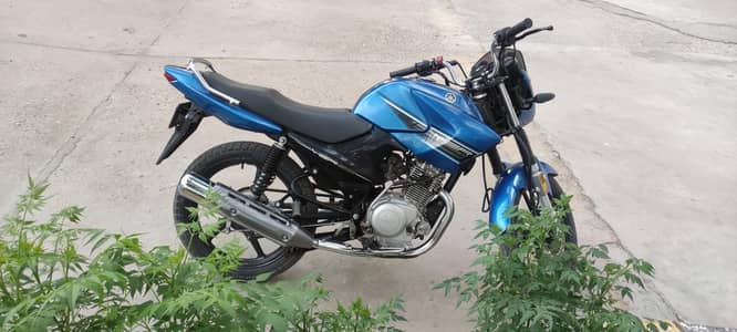 YAMAHA YBR 2015
