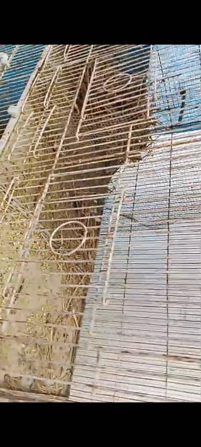 cage for urgent sale