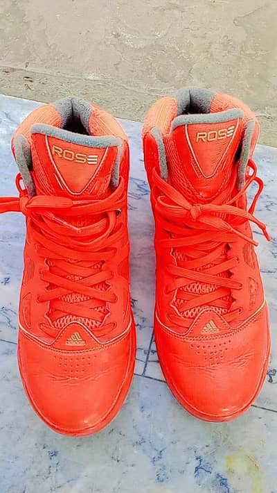 adidas Basketball  shoes