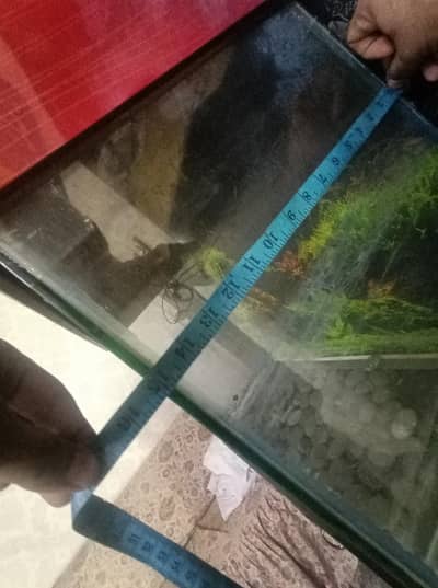 urgent selling