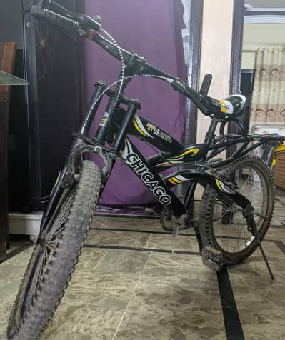 Phoenix Bicycle 26" - Excellent Condition