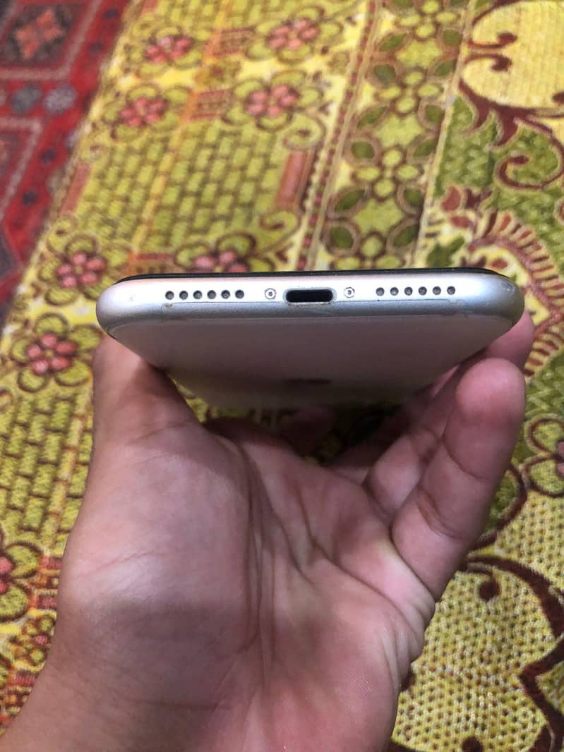 Apple iPhone 11 0