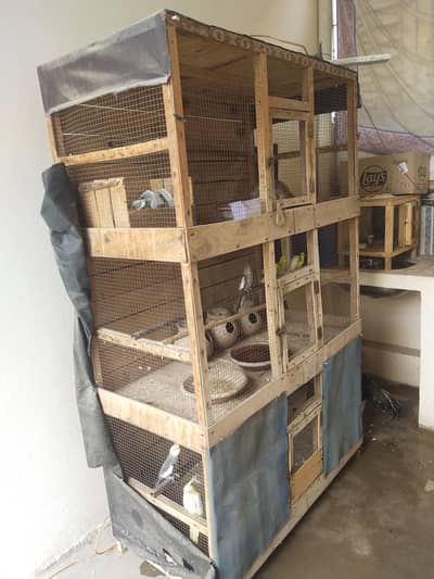Big cage