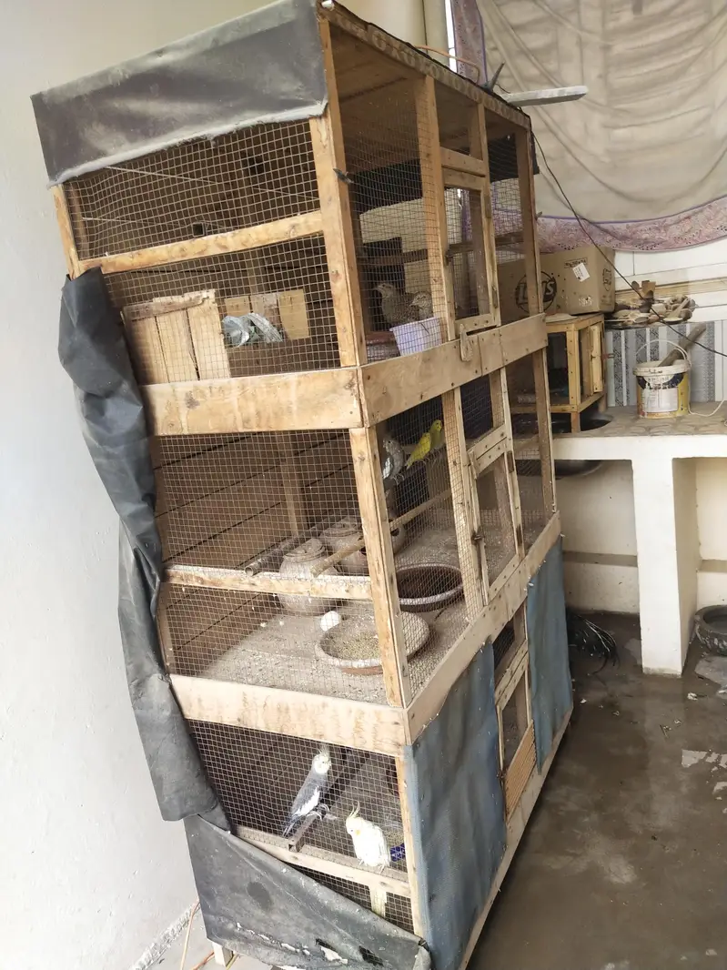 Big cage — photo 2