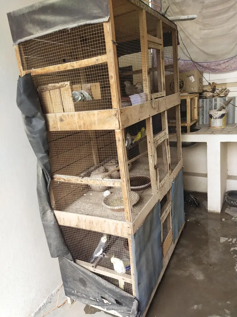 Big cage — photo 3