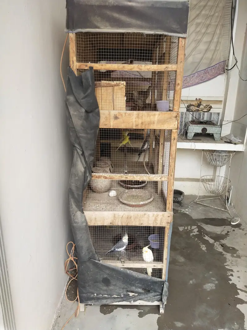 Big cage — photo 4
