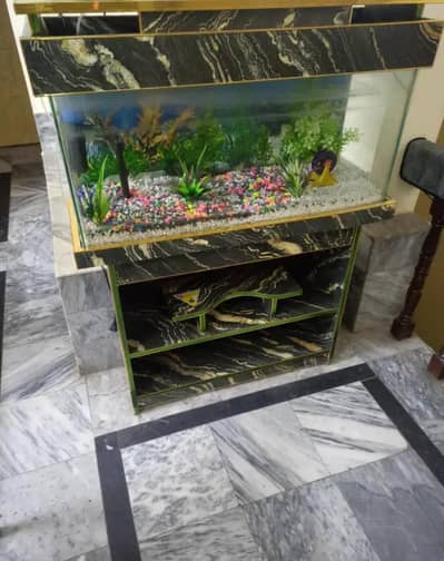 Fish Aquarium