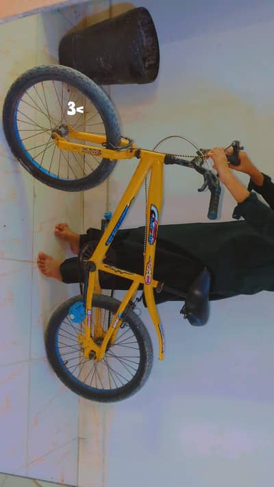sports bicycle