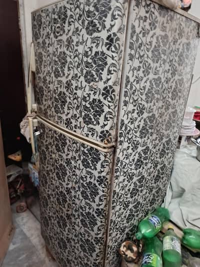 PEL frige