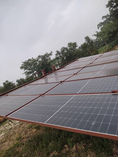 jinko solar 555 watt for sale