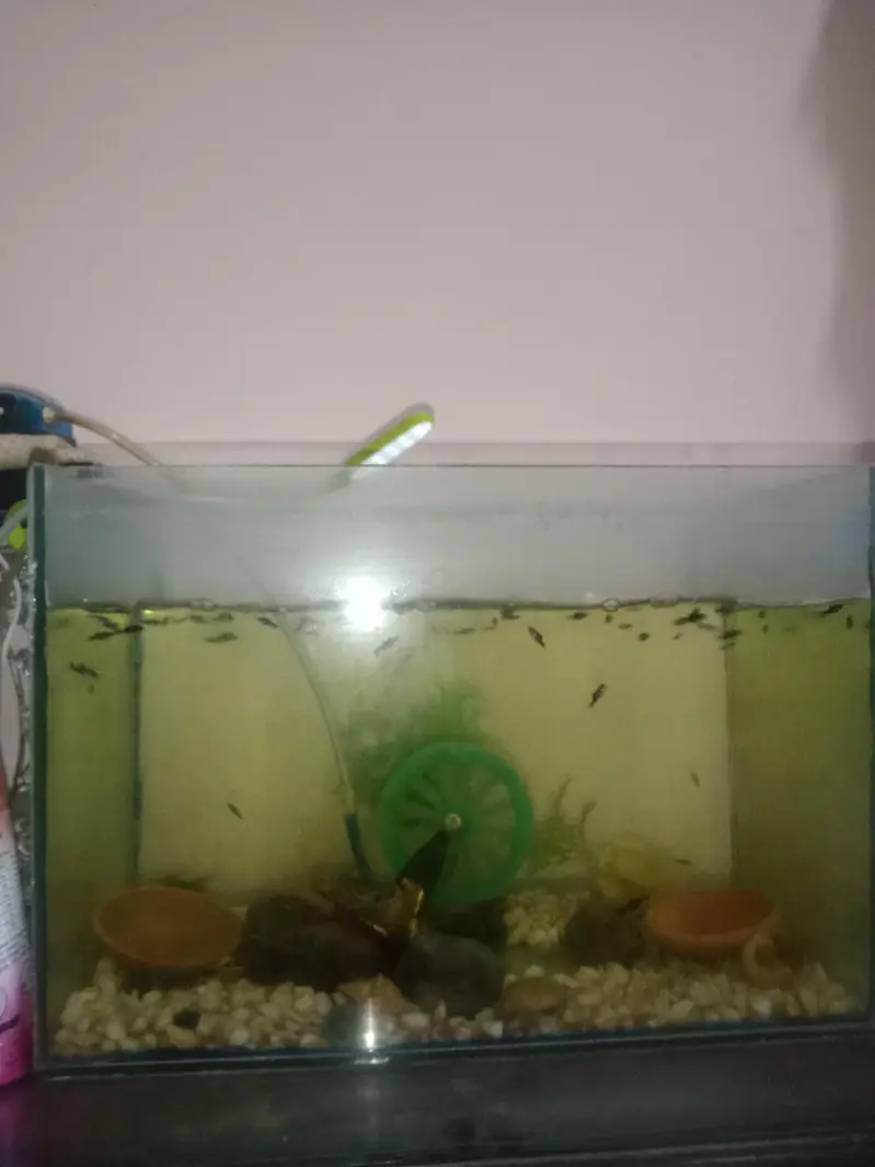 aquarium and accessories for sale