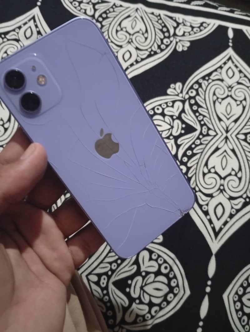 Apple iPhone 12 1