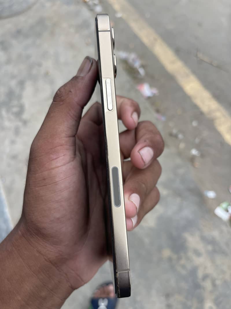 Apple iPhone 12 Pro Max 2