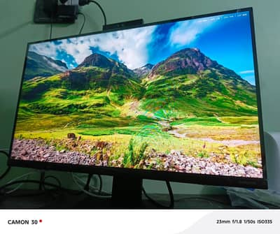 Samsung 24" Monitor.