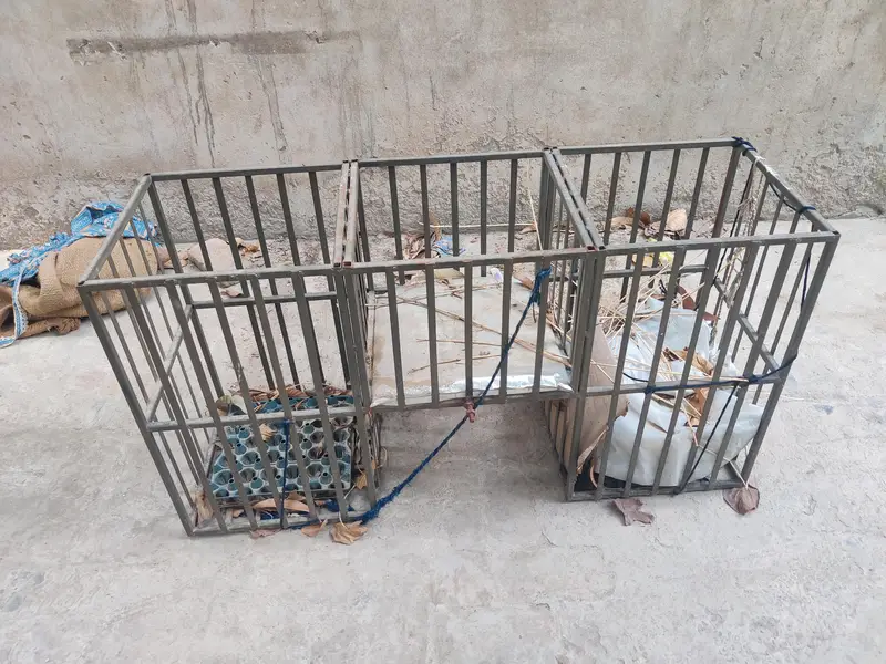 Heavy-duty steel Cage For Vegetable or Backery Items — photo 2