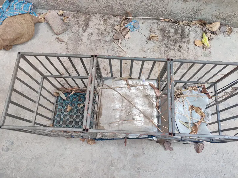 Heavy-duty steel Cage For Vegetable or Backery Items — photo 3