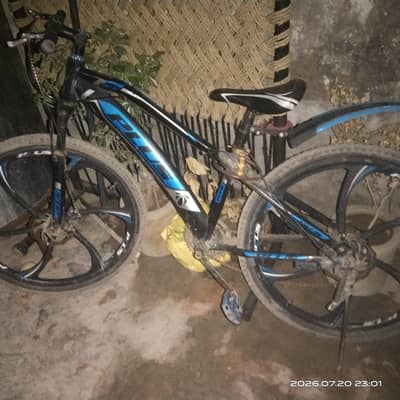 stylich bicycle