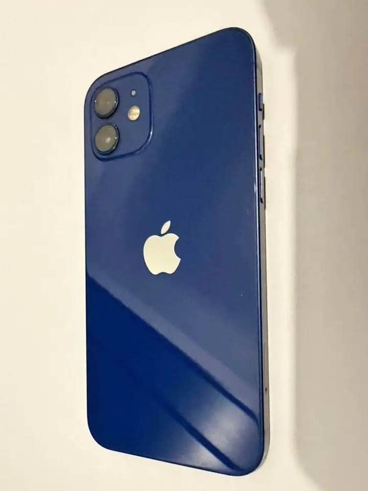 Apple iPhone 12 1