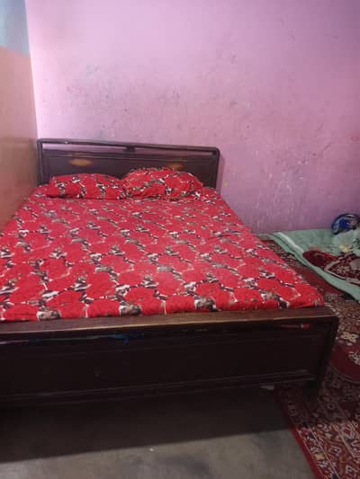 only bed hai