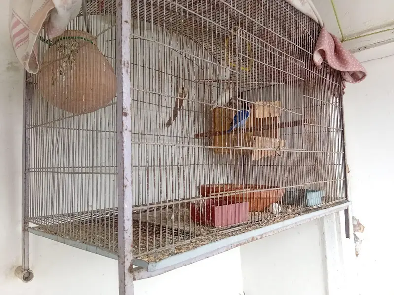 Cage 5*5 — photo 2