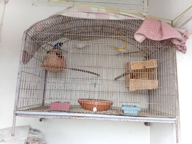 Cage 5*5 2