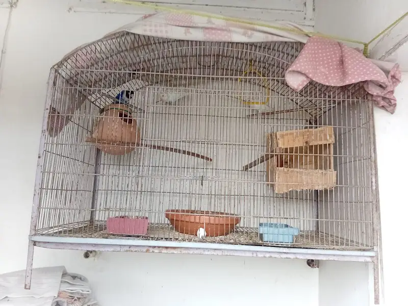 Cage 5*5 — photo 3