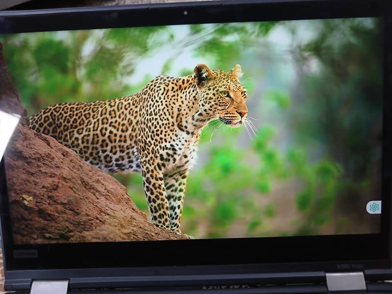 Lenovo Thinkpad 9