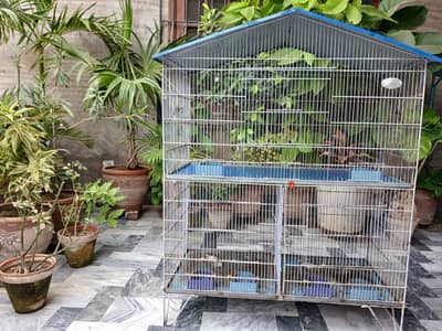 3 portion Bird Cage
