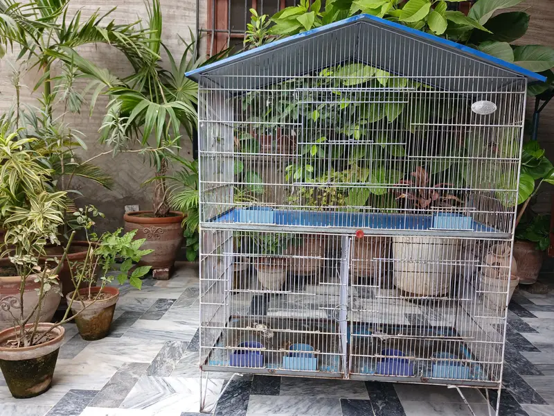 3 portion Bird Cage — photo 2