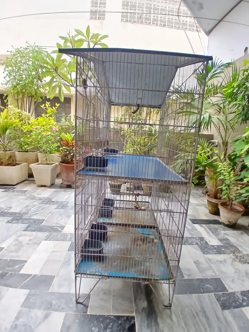 3 portion Bird Cage — photo 3