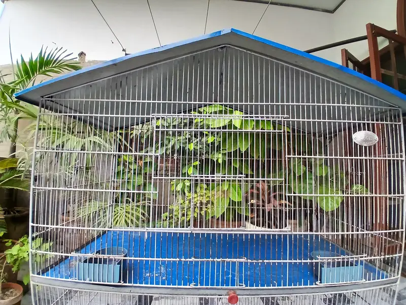 3 portion Bird Cage — photo 4