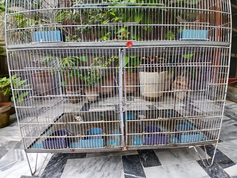 3 portion Bird Cage — photo 6