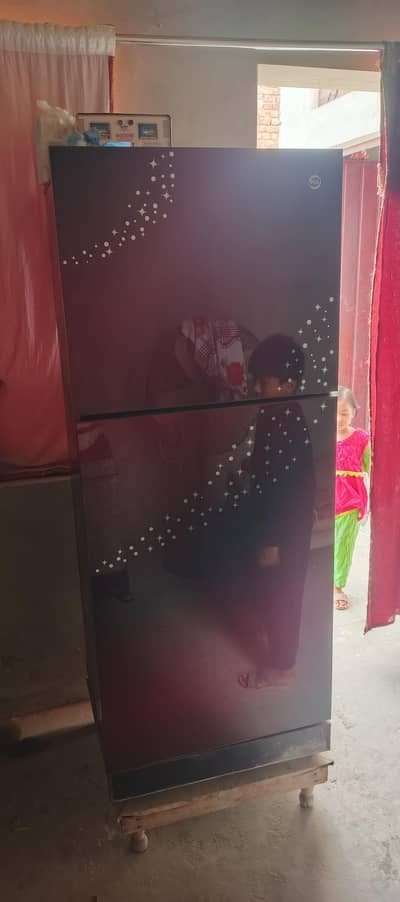 Pel Jumbo Size Refrigerator
