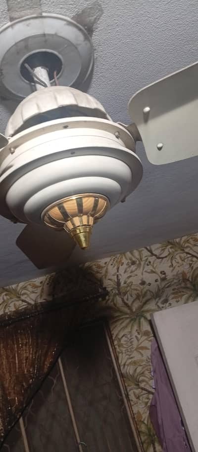 Time star company k 2 fan hen