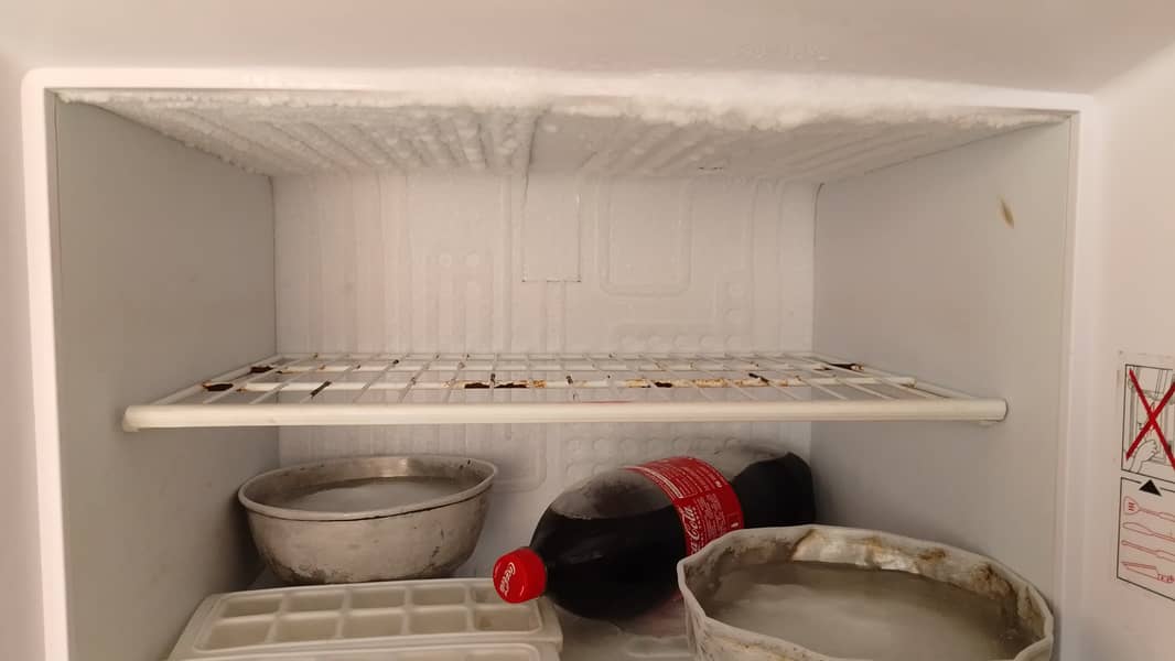 Singer waves plus fridge 2