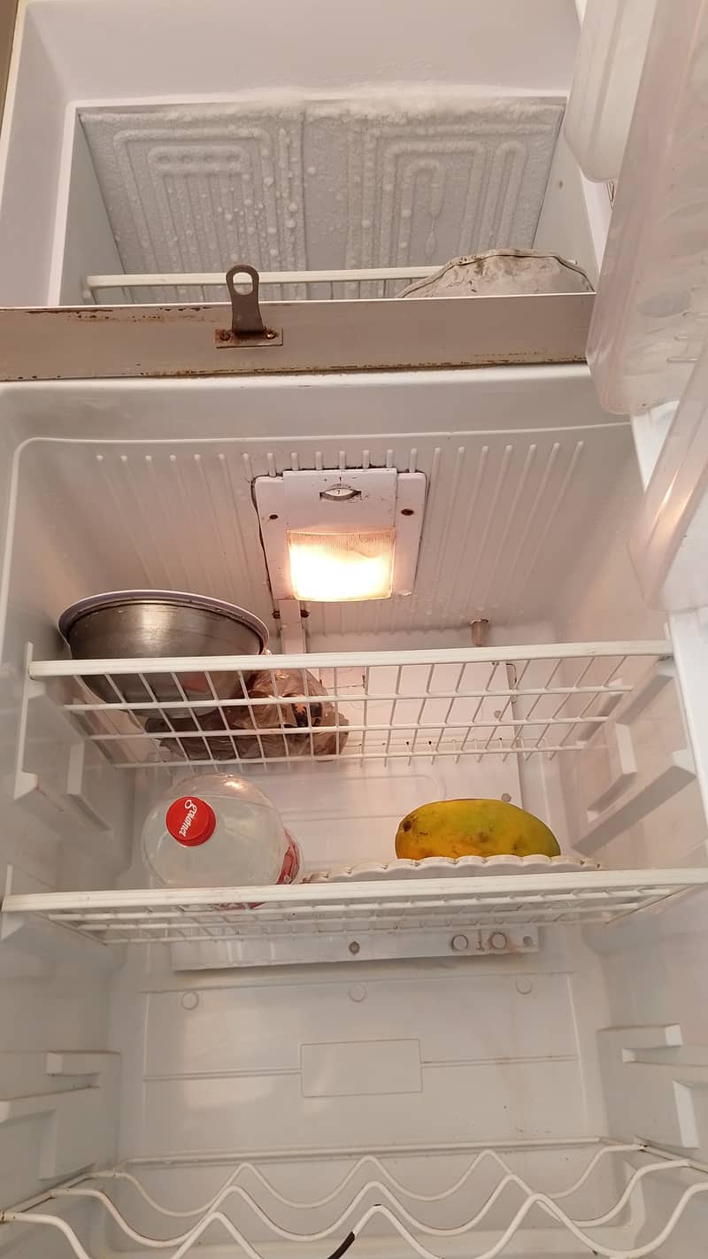 Singer waves plus fridge 3