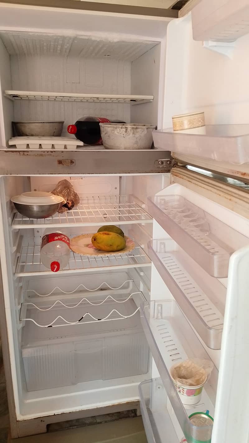 Singer waves plus fridge 4