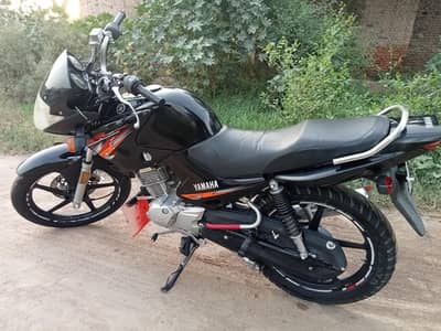 Yamaha ybr