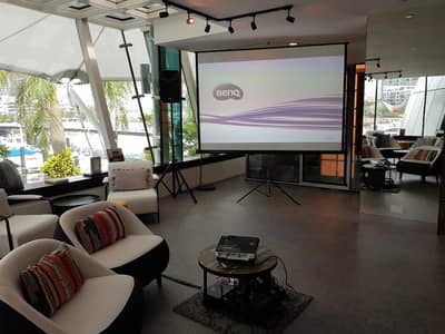 Projector and screen