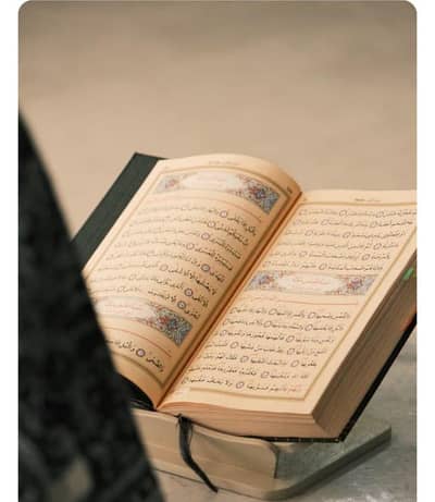 online tajawed teach