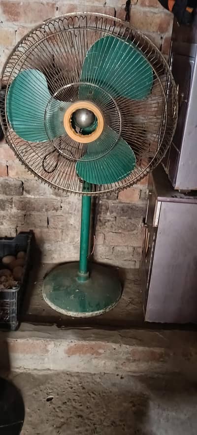 old is gold fan